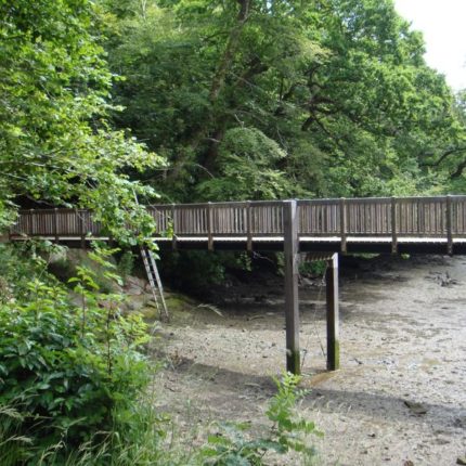 Passerelle acier et bois